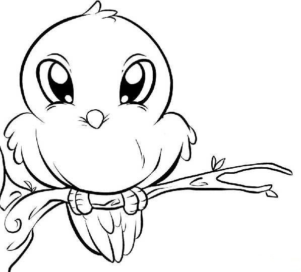 597x540 Spectacular Design Bird Coloring Pages Eagle Perched Coloringstar