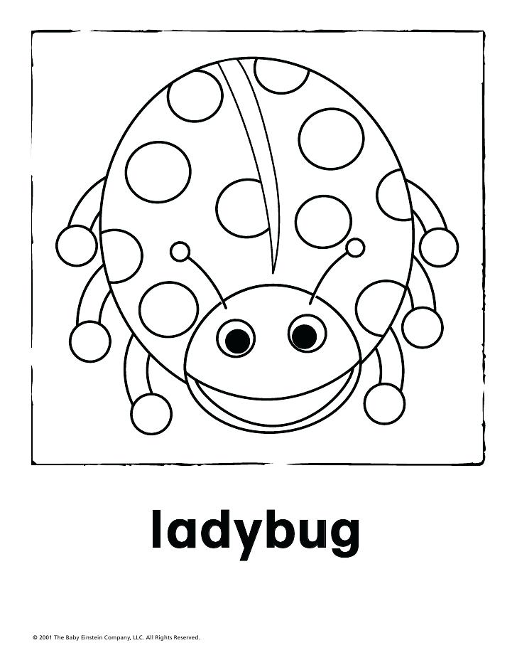 728x942 This Is Baby Einstein Coloring Pages Images Baby Animal Free Baby