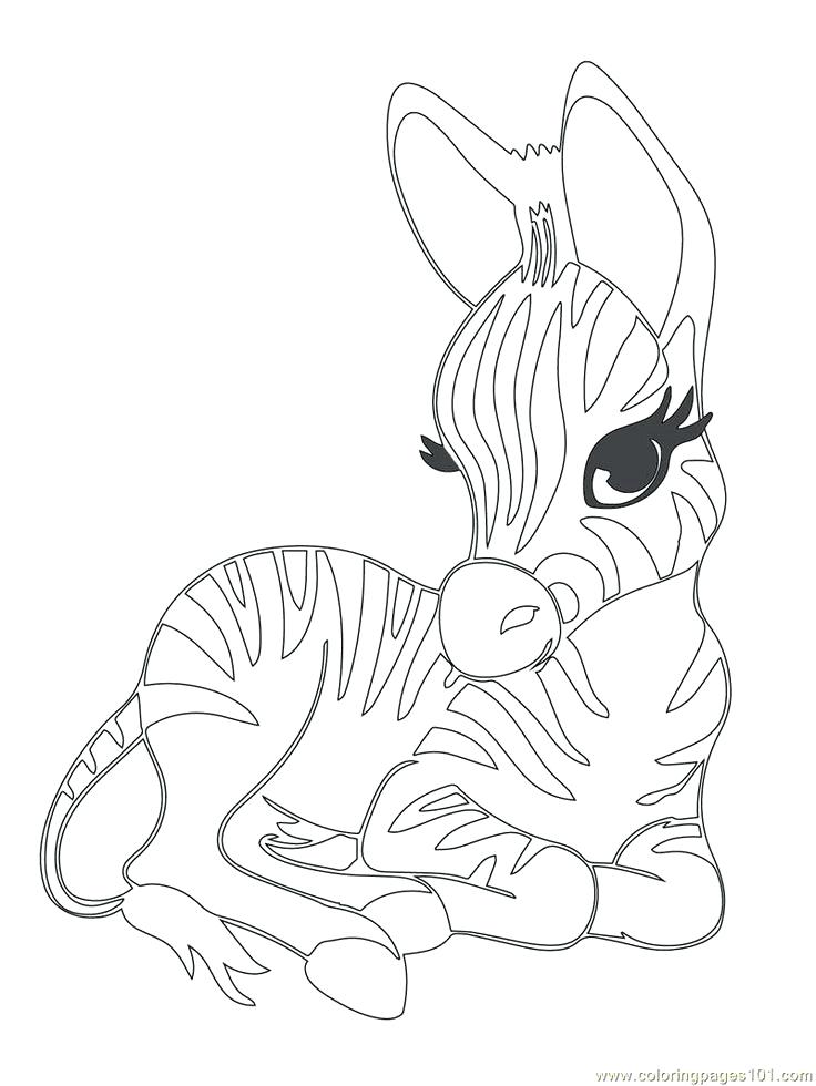 736x980 Cute Baby Sea Animal Coloring Pages Animals For Kids Fresh Design