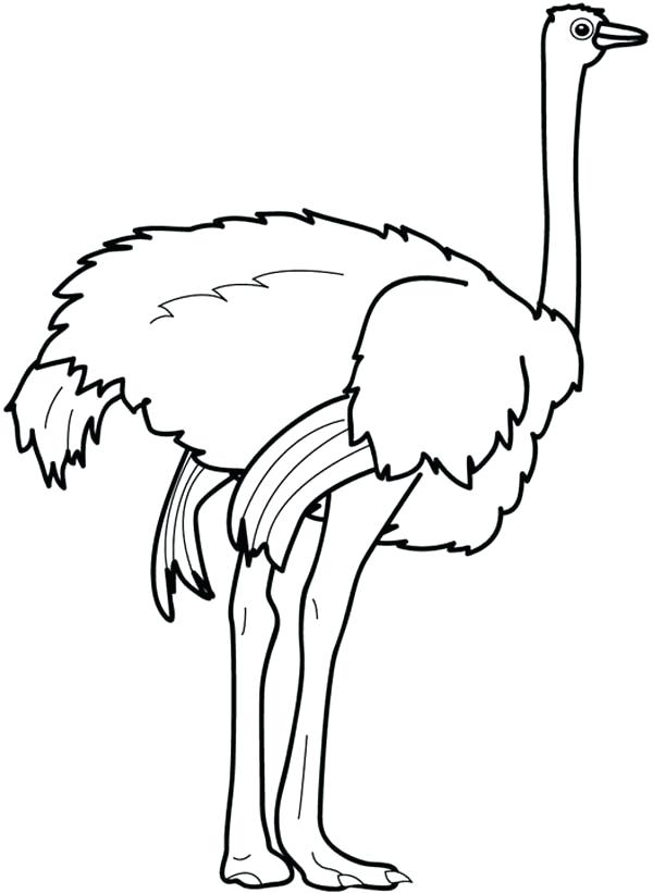 600x821 Feet Coloring Pages Ostrich Strong Page Baby Foot Coloring
