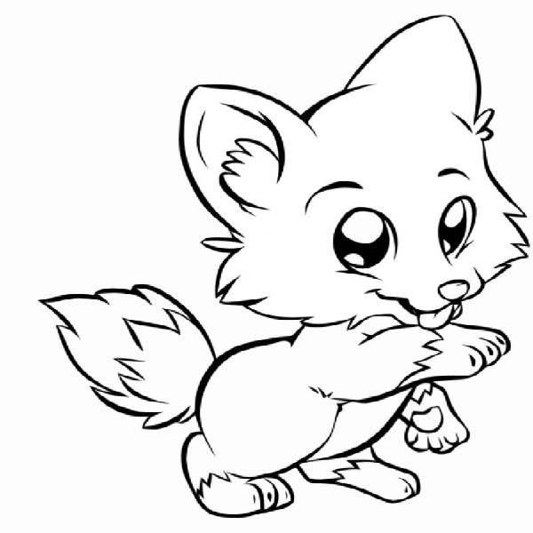600x600 Baby Fox Coloring Pages