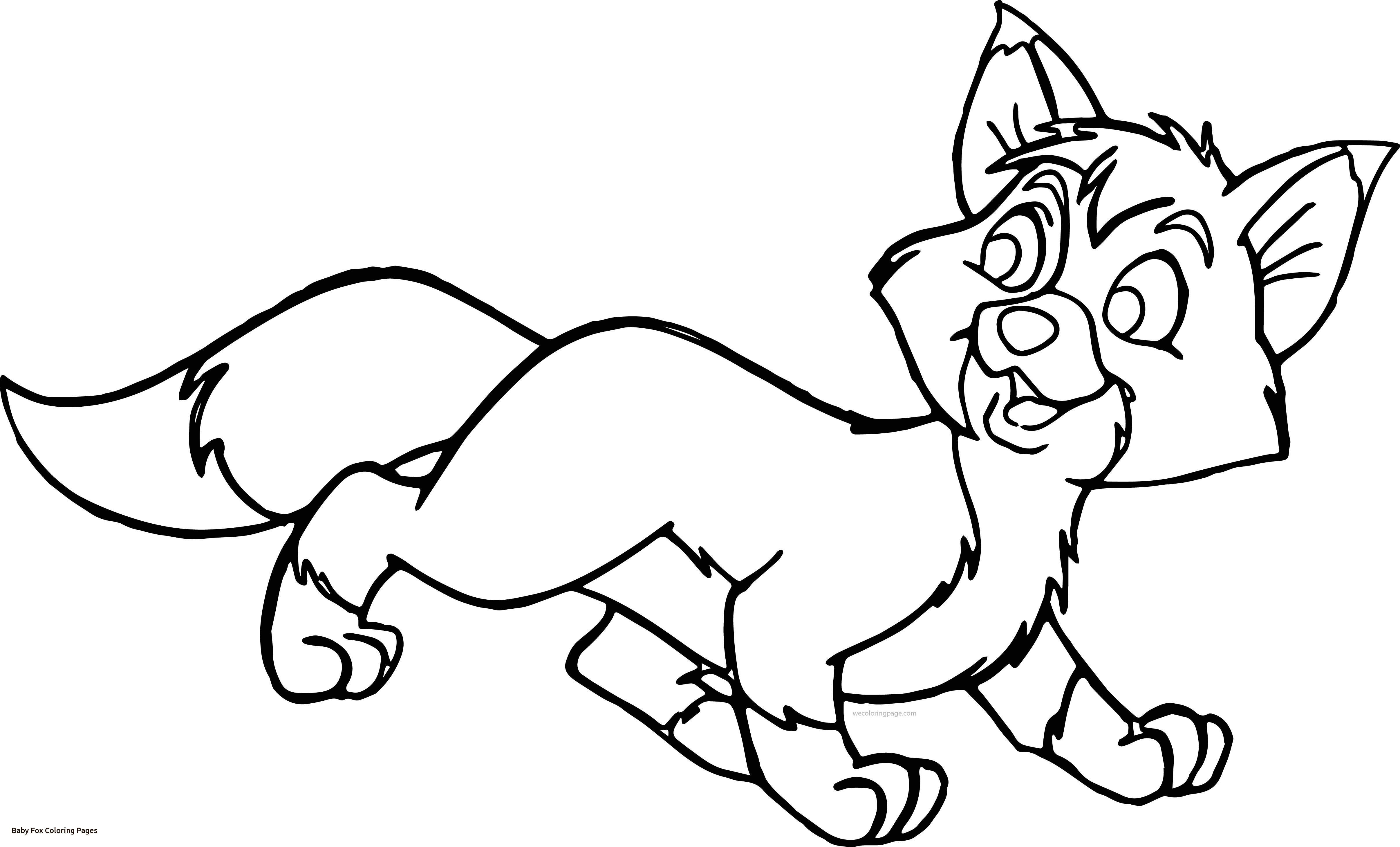 4825x2918 Unconditional Baby Fox Coloring Pages Cute Org