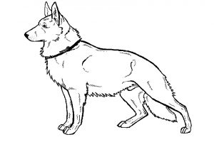 300x200 Modest Ideas German Shepherd Coloring Pages German Shepherd