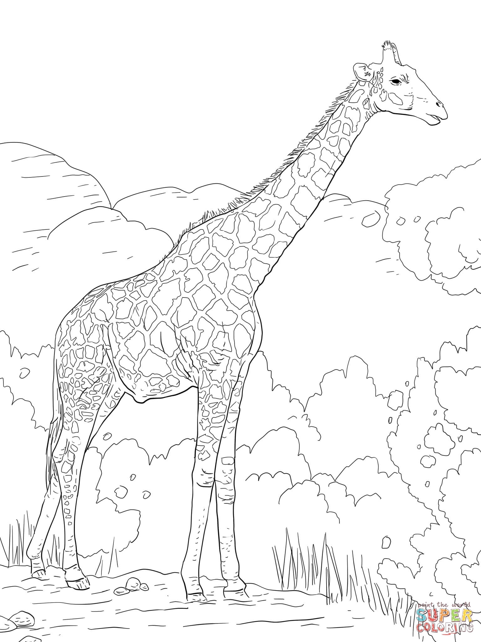 1536x2048 Giraffe Coloring Pages Coloringsuite Collection