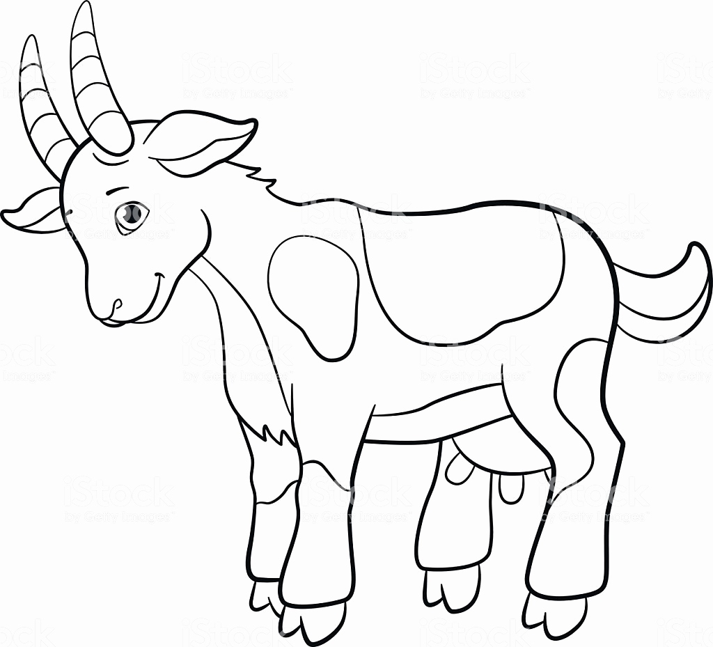 Baby Goat Coloring Pages