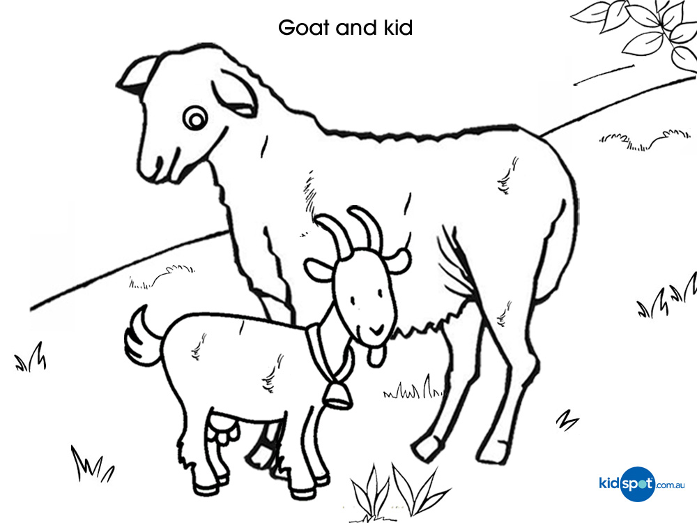 1000x750 Best Photos Of Baby Goat Coloring Pages Printable