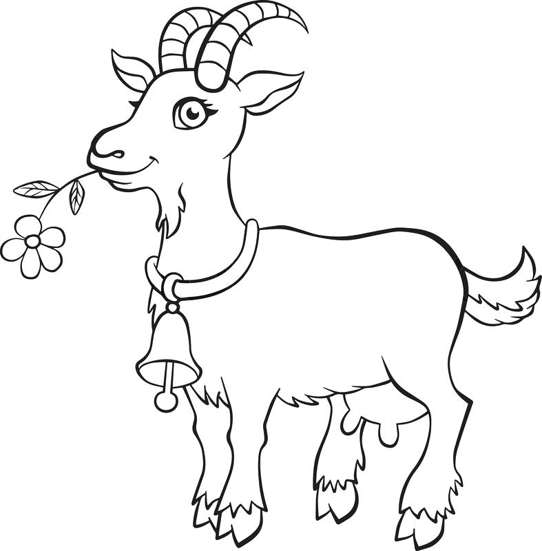 787x800 Coloring Goat An Old Goat Coloring Pages Color An Old Goat
