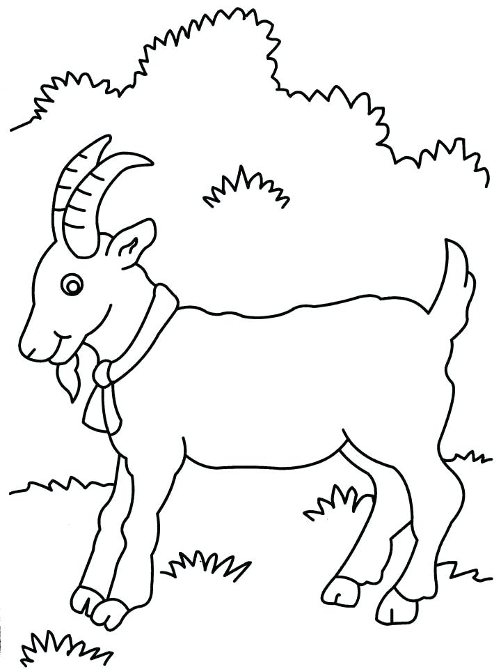 720x960 Free Cute Goat Coloring Pages Free Cute Goat Printable Goat