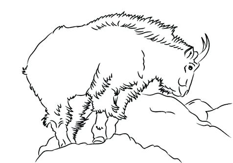 476x333 Goat Coloring Pages Goat Coloring Pages Baby Goat Coloring Pages