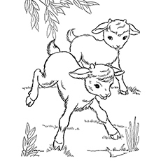 230x230 Top 25 Free Printable Goat Coloring Pages Online
