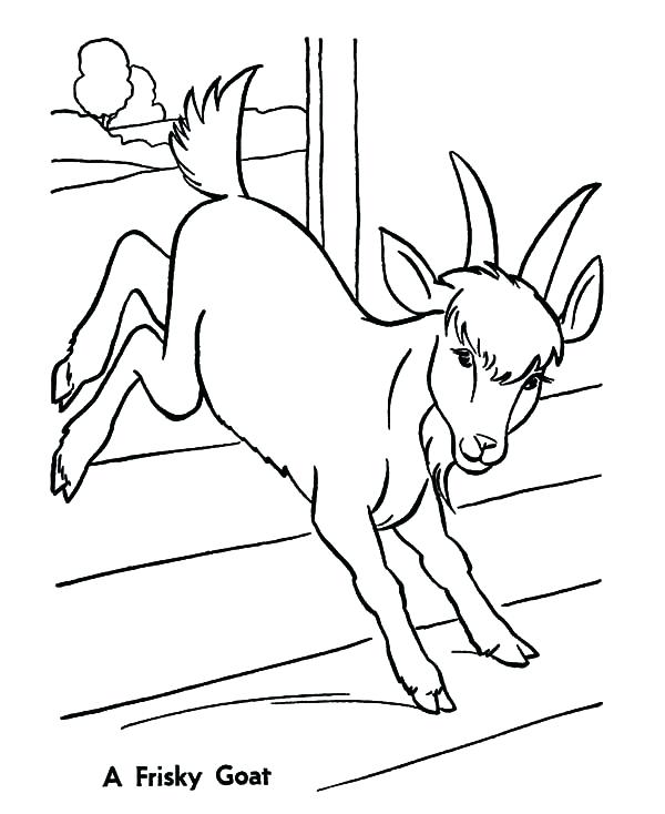 600x734 Baby Goat Coloring Pages A Frisky Goat Coloring Pages Baby Goat