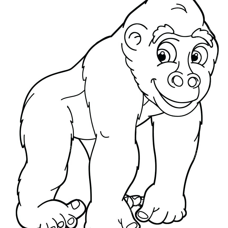 864x864 Gorilla Coloring Page Gorilla Coloring Sheet Gorilla Coloring