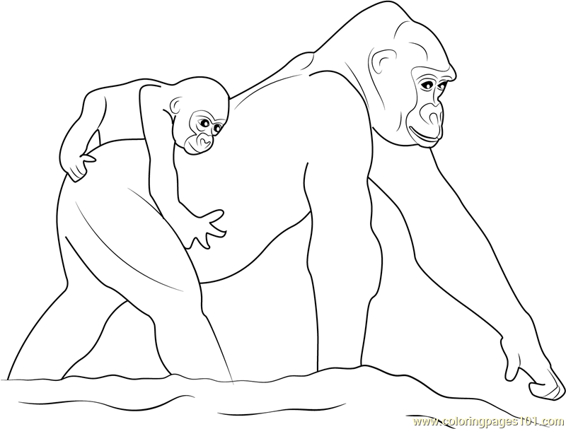 800x607 Gorilla With Baby Coloring Page