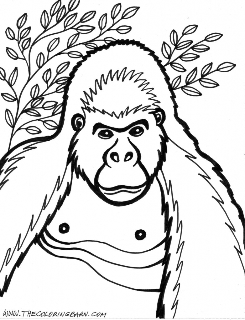 782x1024 How To Draw A Baby Gorilla Gorilla Coloring Pages Getcoloringpages