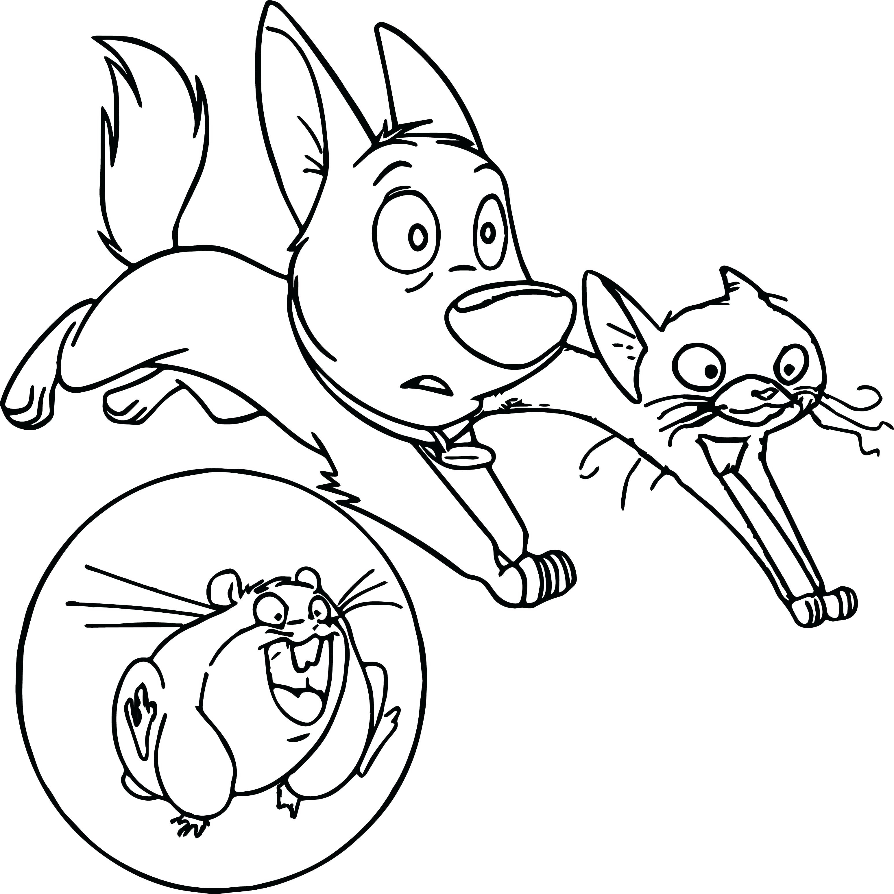 Baby Hamster Coloring Pages