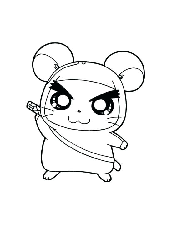 550x717 Hamster Coloring Page Pet Hamster Coloring Pages