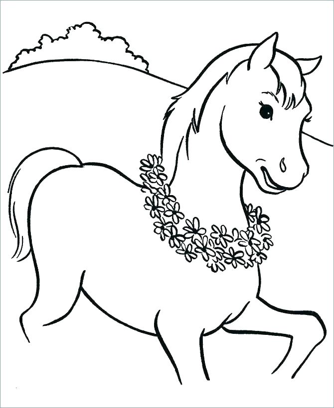 Baby Horse Coloring Pages