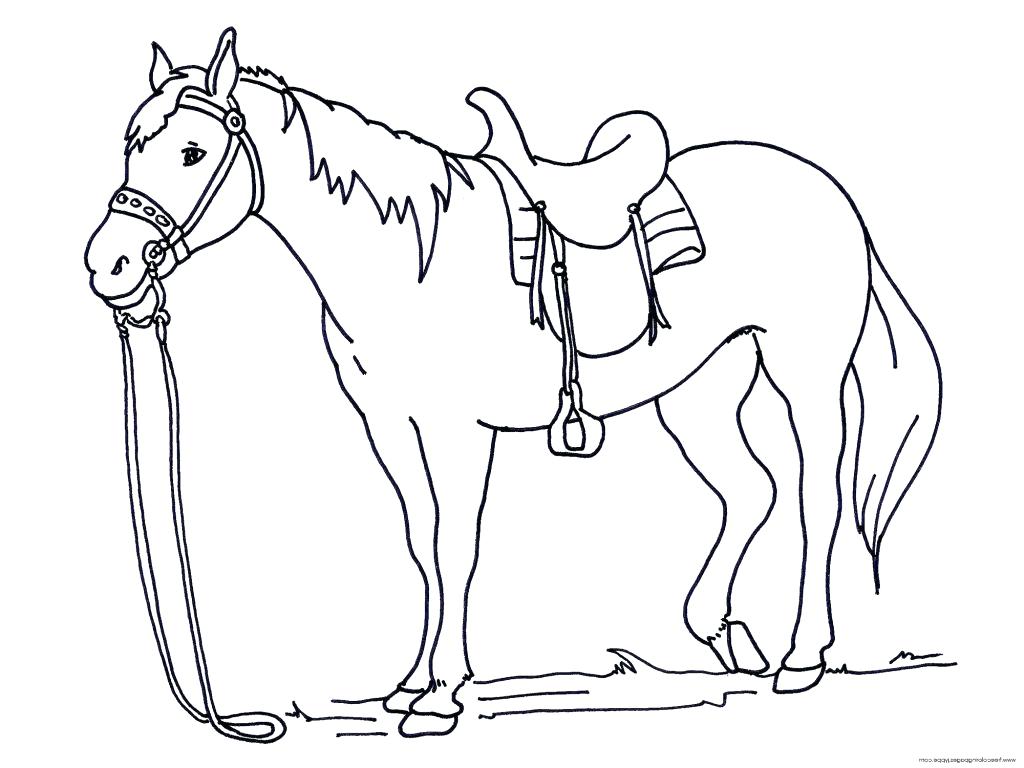 1024x768 Cute Baby Seahorse Coloring Pages Animal Only With Drawings