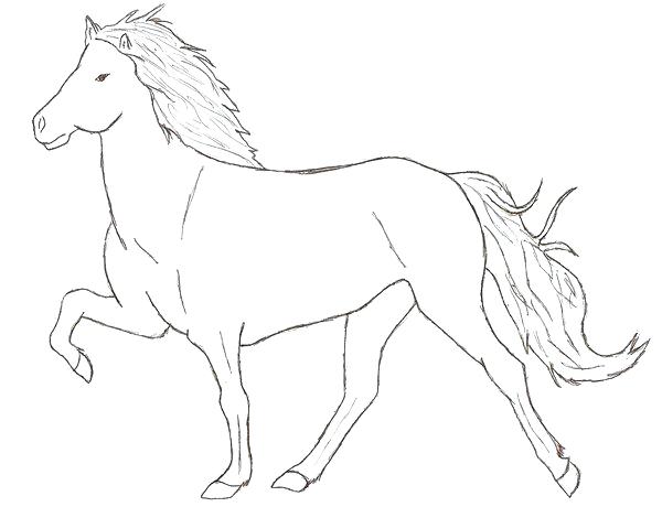 600x460 Fascinating Baby Horse Coloring Pages Horse By On Cute Baby Horse