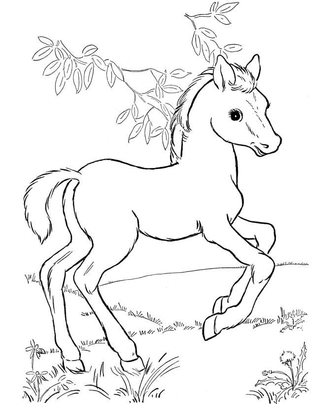 670x820 Free Printable Horse Coloring Pages For Kids Horse, Adult