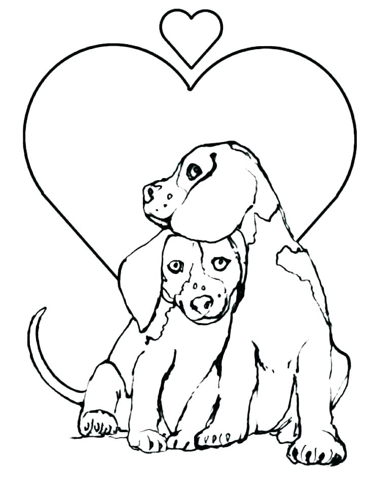 736x960 Husky Coloring Page Husky Coloring Page Husky Coloring Page Free