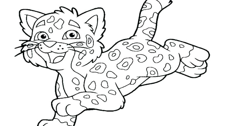 770x430 Baby Jaguar Coloring Pages Baby Jaguar Coloring Pages Baby Jaguar