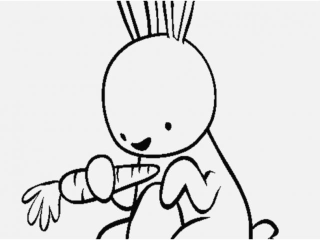 640x480 Baby Jungle Animal Coloring Pages Stock Cute Wild Animals Coloring