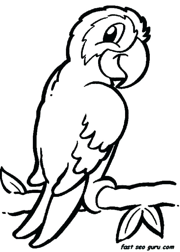 734x1024 Jungle Animal Coloring Pages Medium Size Of Jungle Animals