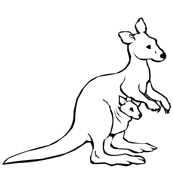 Baby Kangaroo Coloring Page