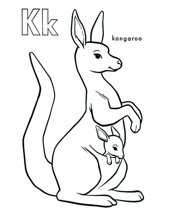 580x709 Baby Kangaroo Coloring Page Pages Alphabet Free Best Coloring