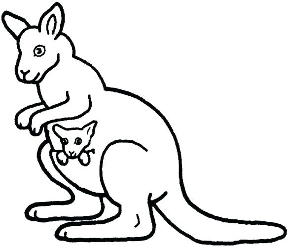 586x500 Coloring Pages Kangaroo Coloring Page Ideal Imagine Rat Sheet
