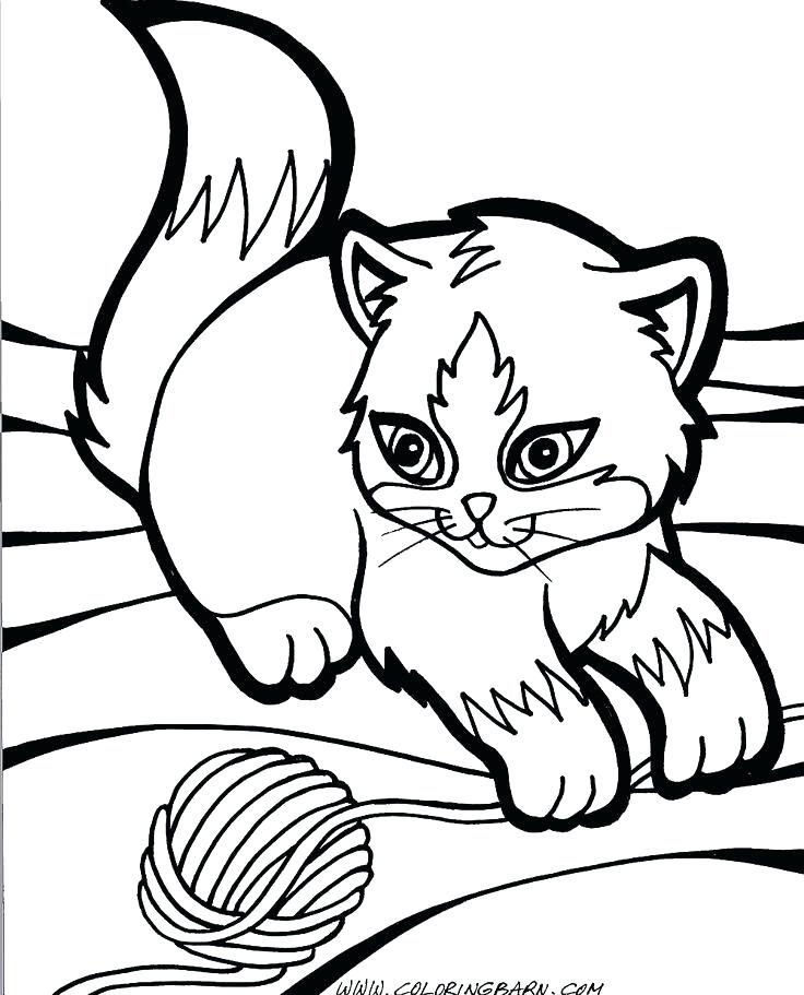 736x911 Cute Kittens Coloring Pages Printable Kitten Coloring Pages Baby