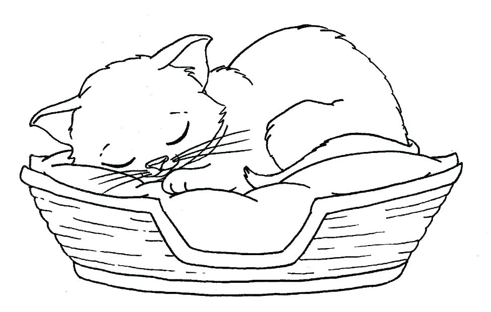974x620 Baby Kitten Coloring Pages Kitten Printable Coloring Pages Cat