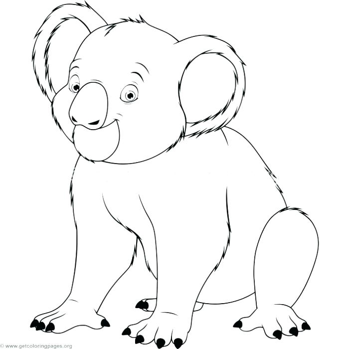 700x700 Koala Bear Coloring Pages Koala Coloring Pages Koala Coloring
