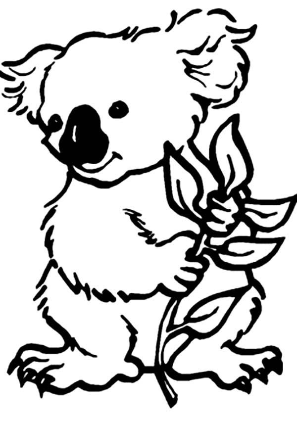 600x851 Koala Coloring Pages