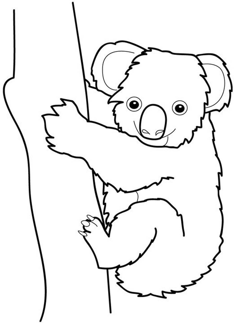 900x1239 Coloring For Kids Marvelous Baby Koala Pages Printable Free Bear