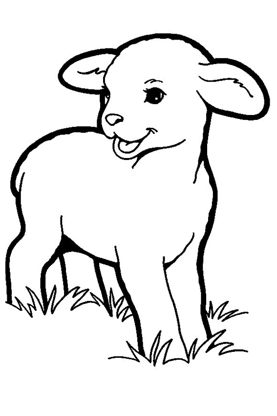 567x850 Lamb Coloring Pages Resumemat Download Pdf Ideas