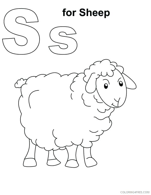 600x776 Lamb Coloring Pages Baby Sheep Coloring Pages Baby Sheep Coloring