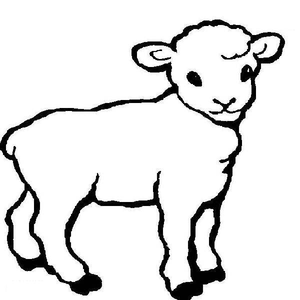 600x600 Lamb Coloring Pages Print Baby Shower Ideas Lambs