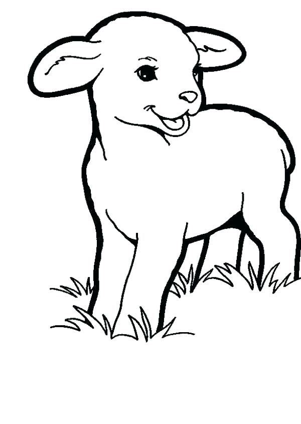 600x845 Lamb Coloring Pictures Printable Happy Lamb Coloring Pages