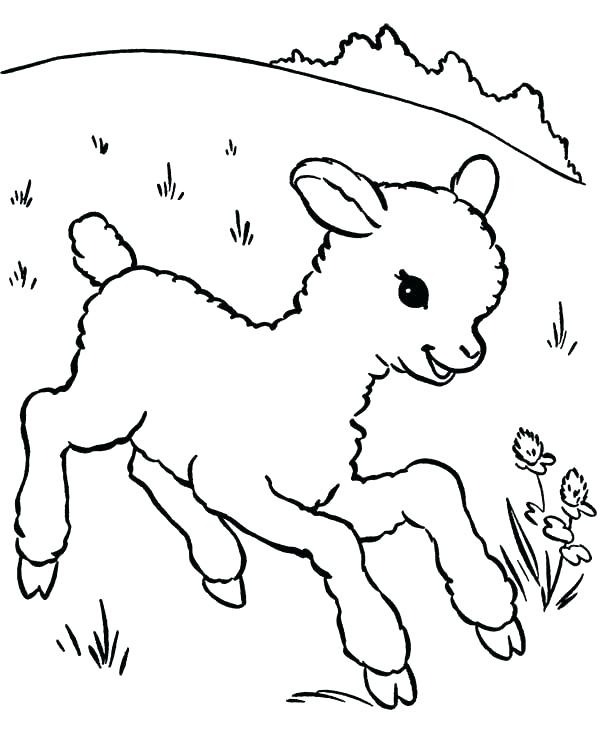 600x734 Meadow Coloring Pages Meadow Flower Coloring Pages Coloring Pages