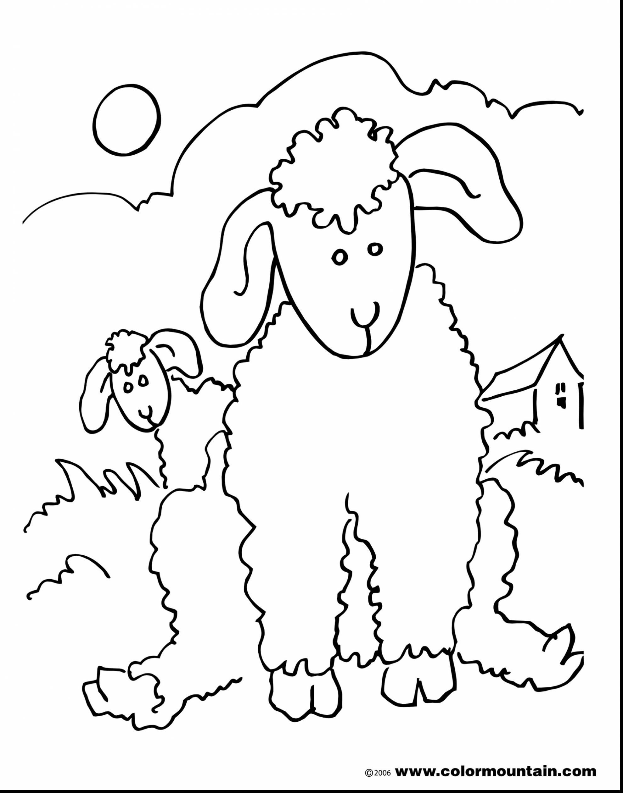 1980x2523 Baby Lamb Coloring Pages Coloring Pages
