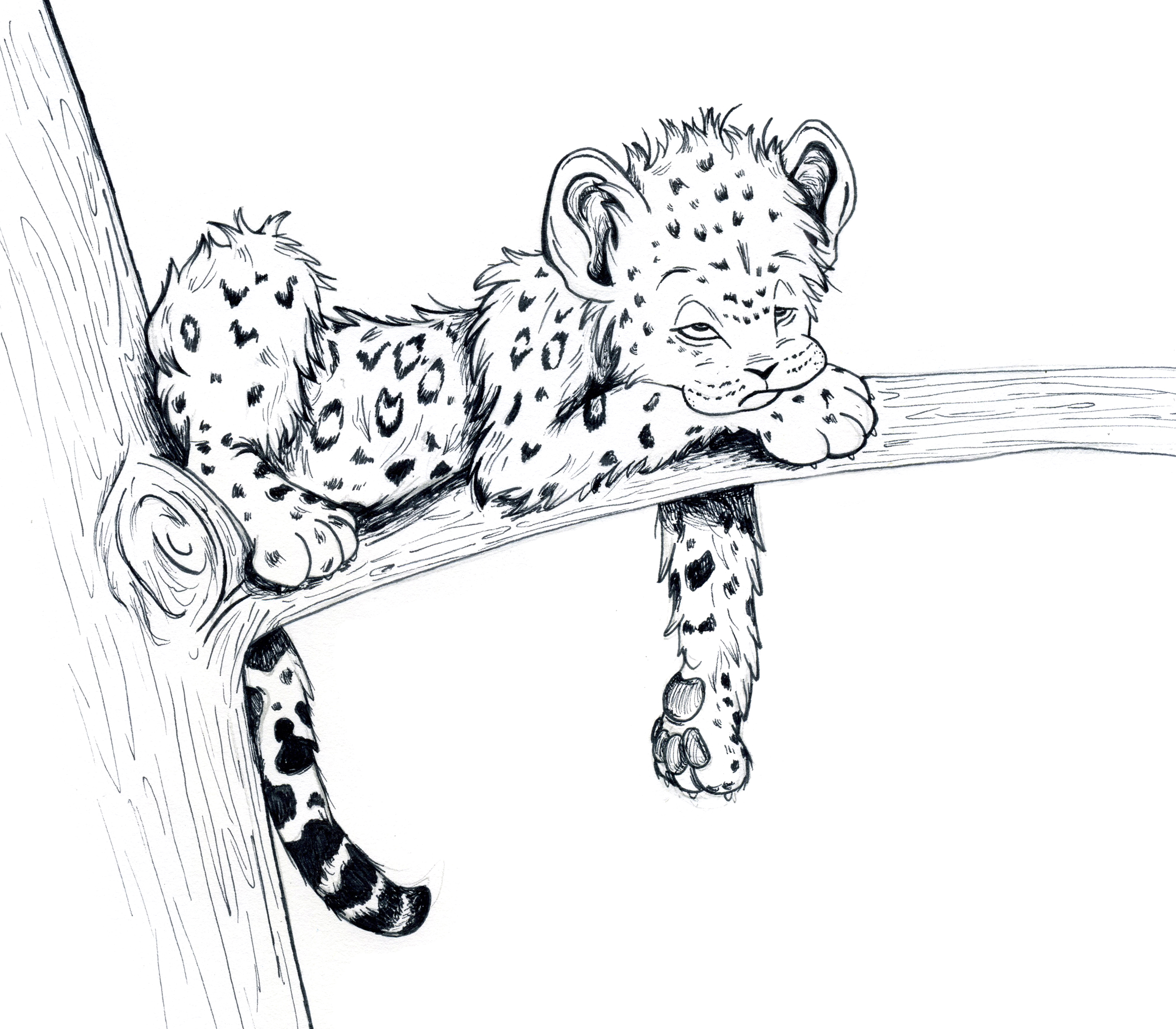 2400x2100 Drawn Cheetah Baby Leopard