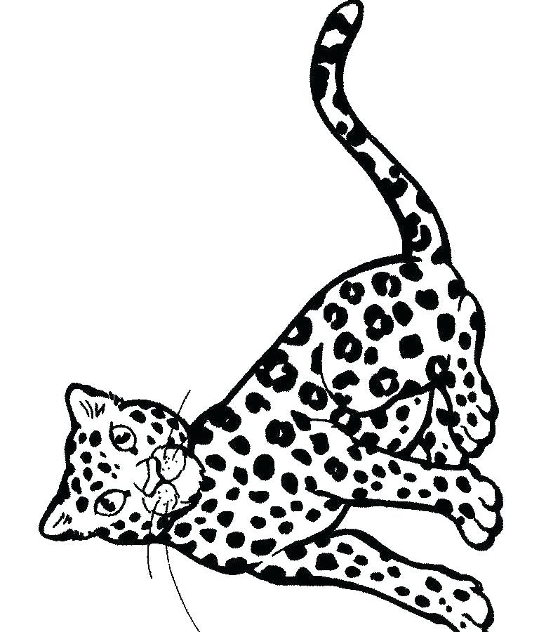 768x900 Amur Leopard Coloring Pages Baby Snow Leopard Coloring Pages