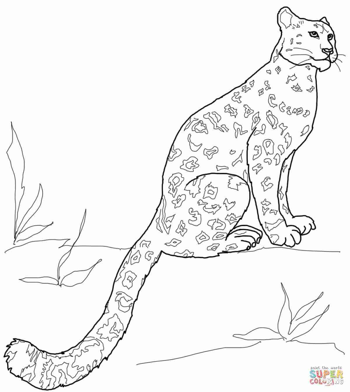 1200x1344 Baby Leopard Coloring Pages To Download And Print Free Printable