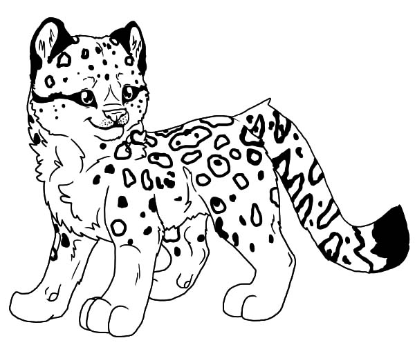 600x503 Baby Snow Leopard Coloring Pages Batch Coloring