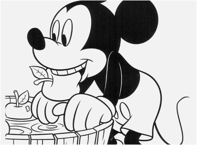 827x609 Minnie Mouse Printable Coloring Pages Photo Baby Mickey Mouse
