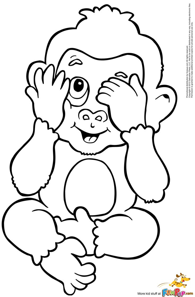 736x1123 Cute Monkey Coloring Pages, Baby Monkey Coloring Page