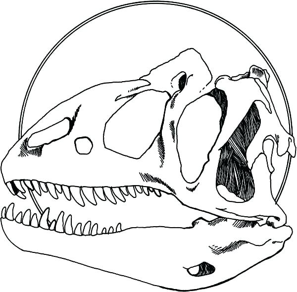 600x590 Cute Color Pages Fossil Coloring Pages Fossil Coloring Pages Cute