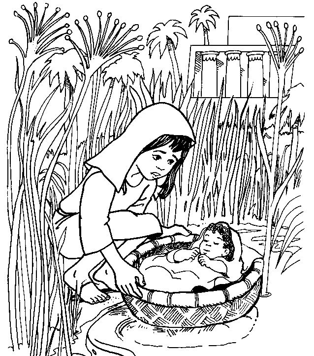 638x722 Baby Moses Coloring Page Beautiful Baby Moses In A Basket Coloring